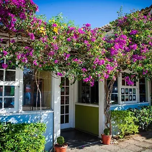 Salvia Geribá Fishbone Zone Inn